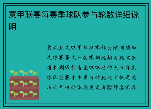 意甲联赛每赛季球队参与轮数详细说明
